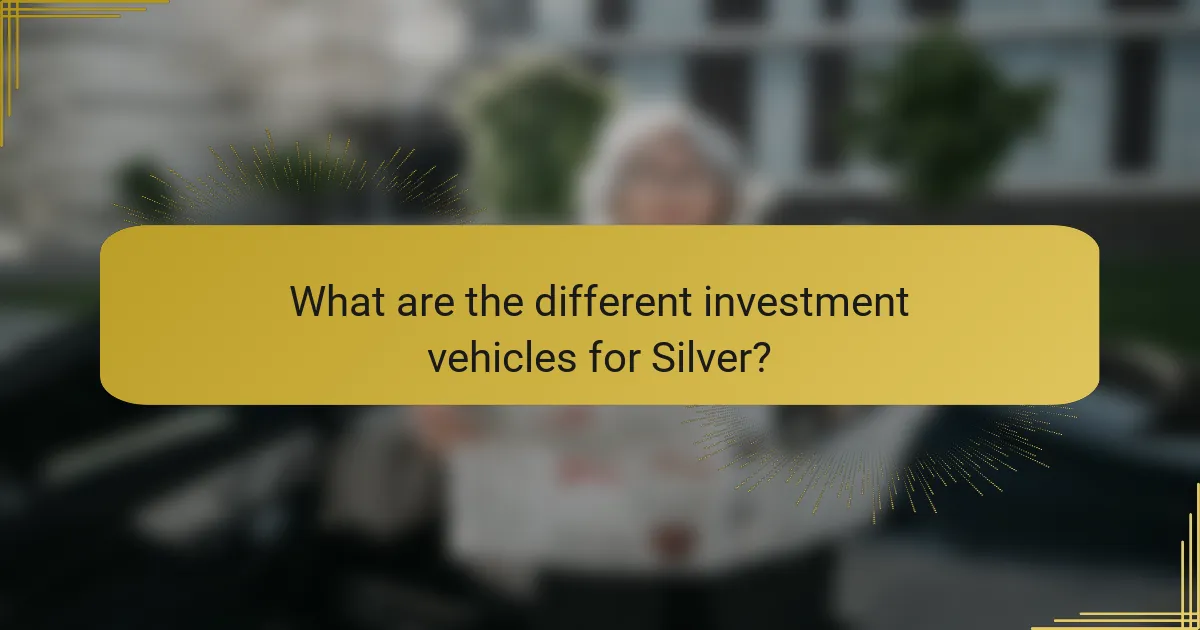 What are the different investment vehicles for Silver?